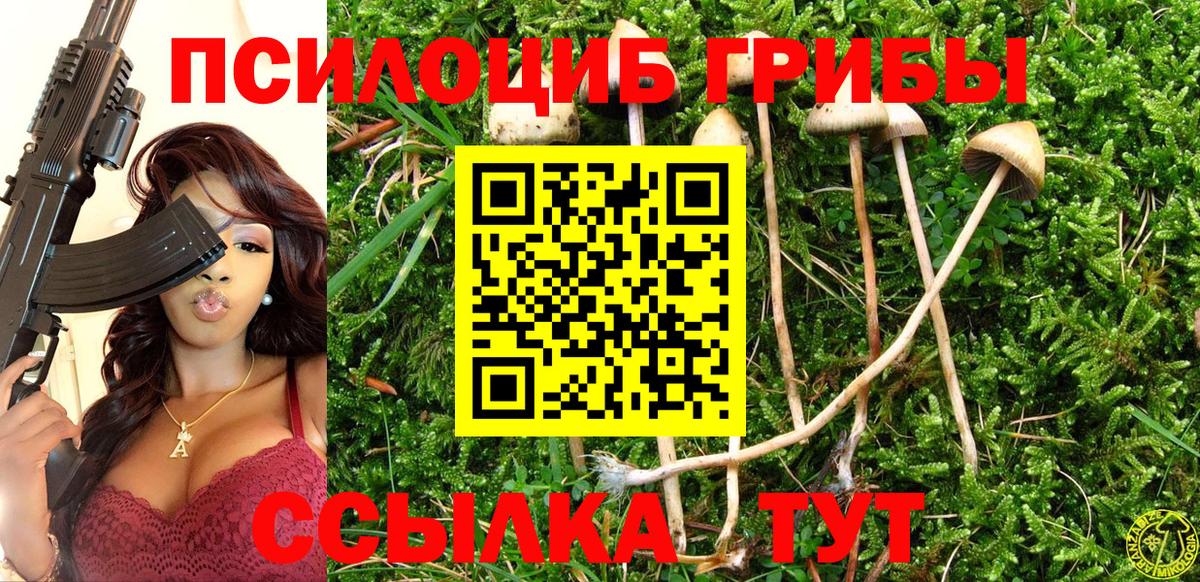Псилоцибиновые грибы мухоморы  где можно купить наркотик  Псилоцибиновые грибы мухоморы  Щёлково  Вход с VPN 