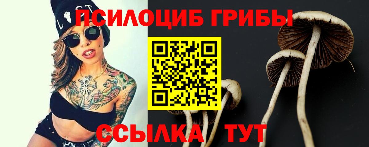 Галлюциногенные грибы GOLDEN TEACHER Щёлково